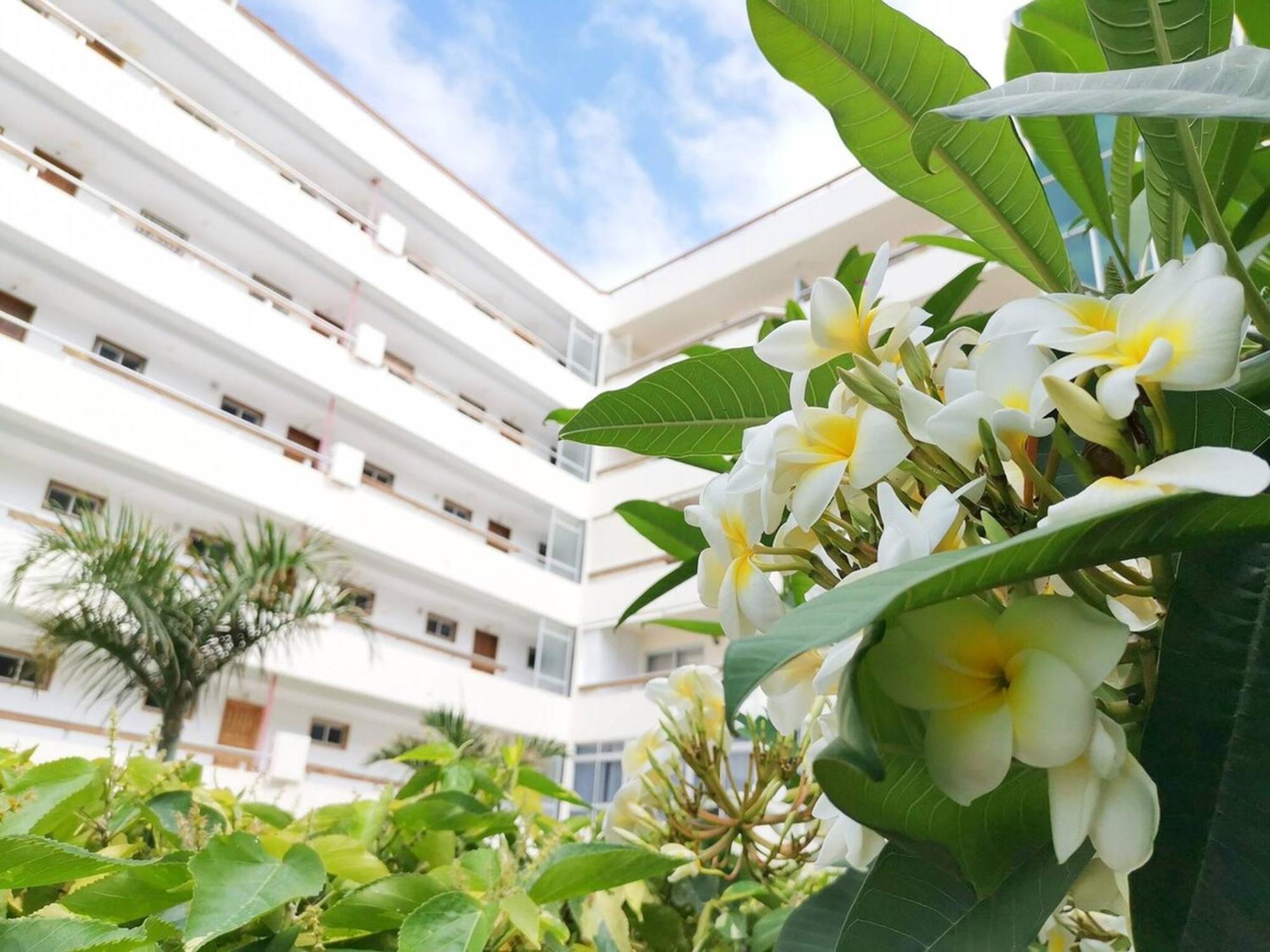 Las Camelias 215 By Pride Holiday Rentals Maspalomas  Eksteriør bilde